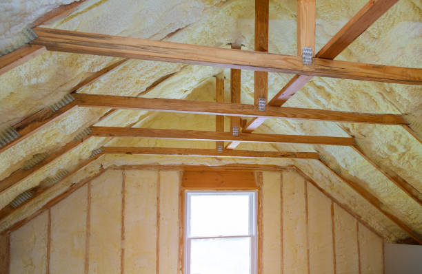 Best Insulation Maintenance and Repair in Genoa, AR