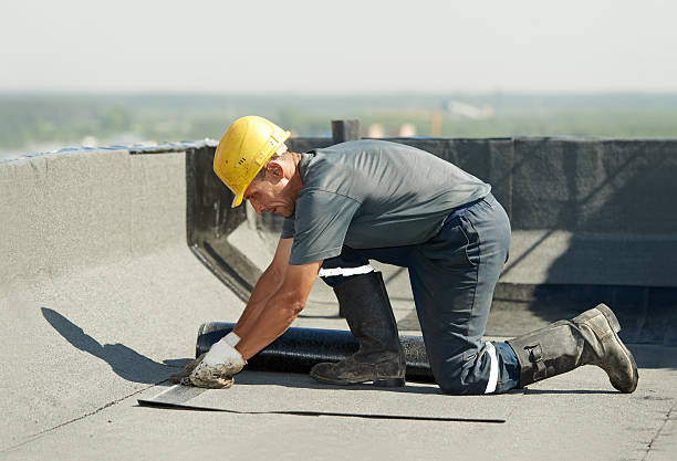 Best Spray Foam Insulation in Genoa, AR