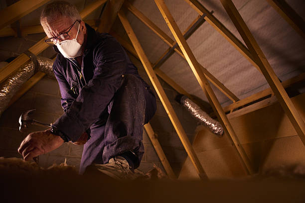 Best Residential Insulation in Genoa, AR